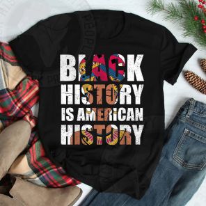 Bhm Black History Is American History T-Shirt