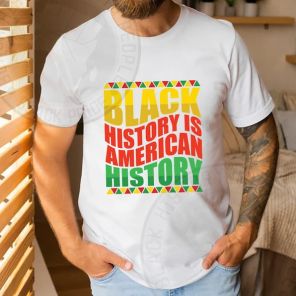 Black History Is American History_1 T-Shirt