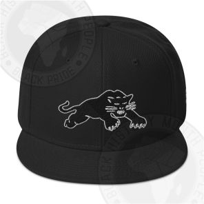Black Panther Party Snapback Hat
