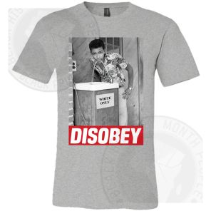 Disobey Water Fountain Red T-shirt