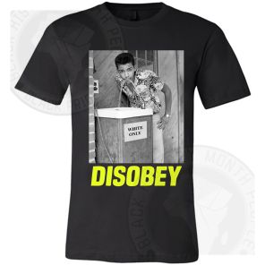 Disobey Water Fountain T-shirt