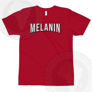 Melanin Netflix T-shirt