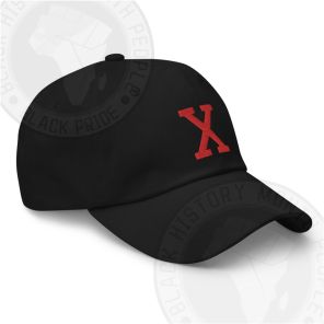Retro Red X Dad hat